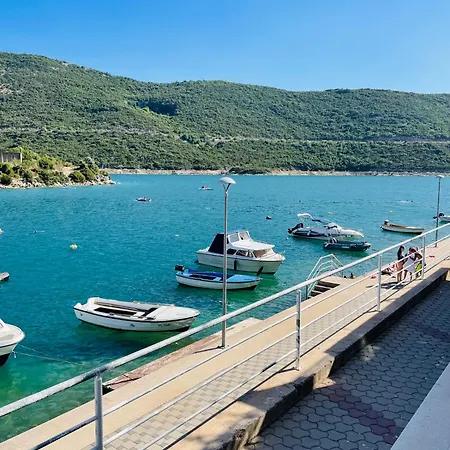 Seasight نيوم