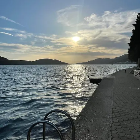 Seasight * Neum